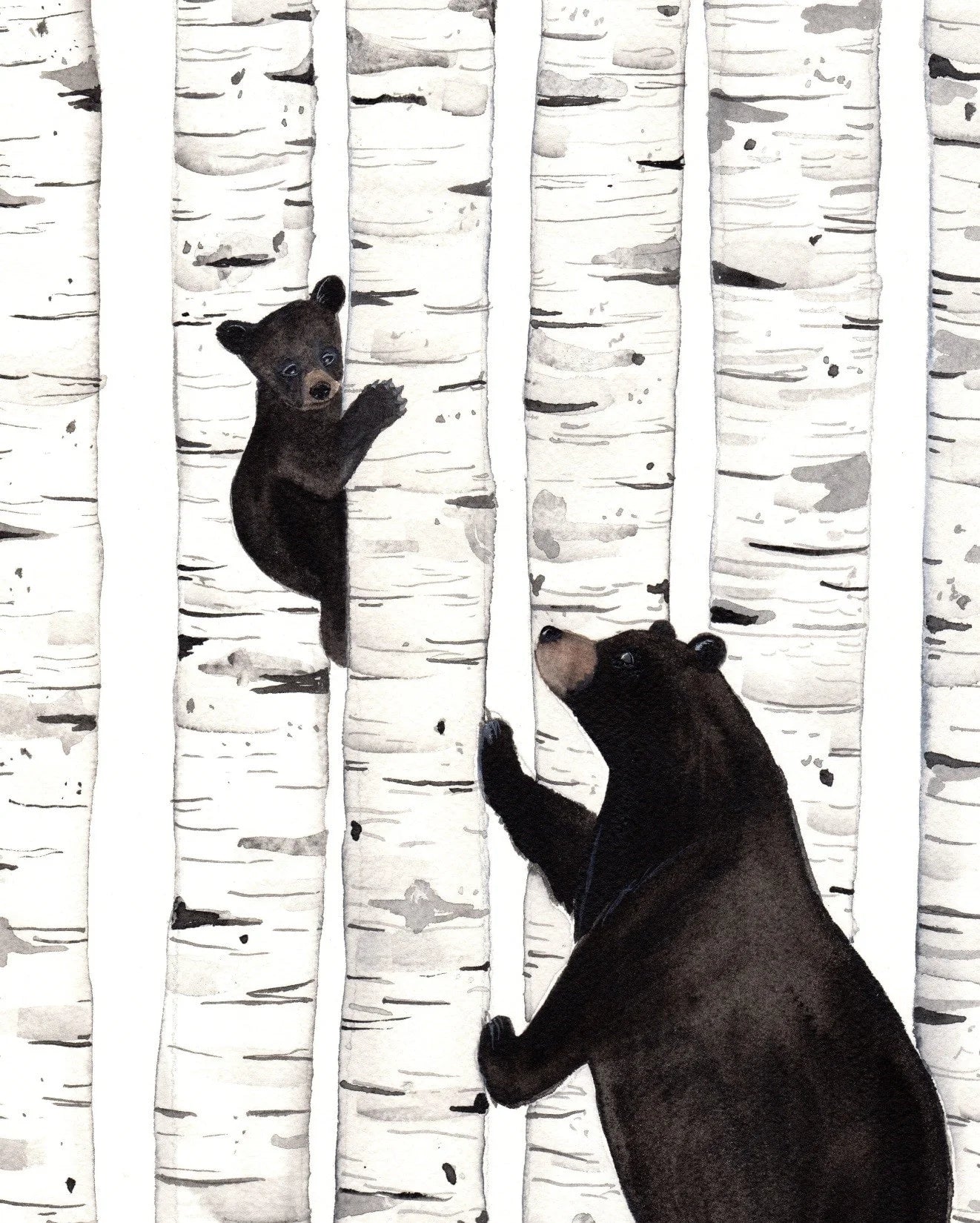 Bears and Birch by Sarah Duggan - 8x10 Print
