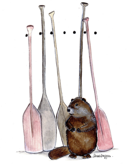 Beaver and Paddles by Sarah Duggan - 8x10 Print