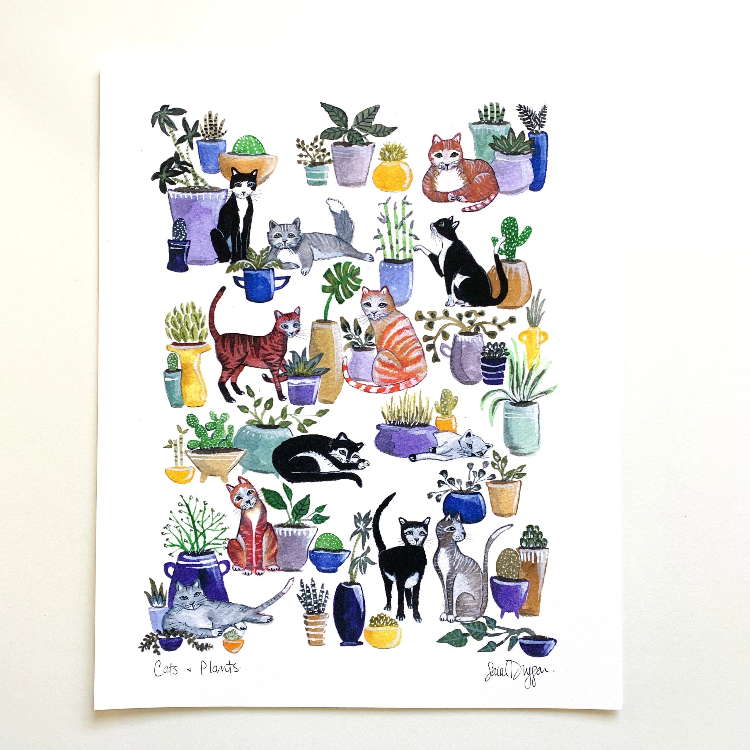 Cats and Plants by Sarah Duggan - 8x10 Print