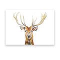 Deer by Gloria Ho - 8x10 Print