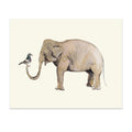 Elephant Pigeon Love by Gloria Ho - 8x10 Print