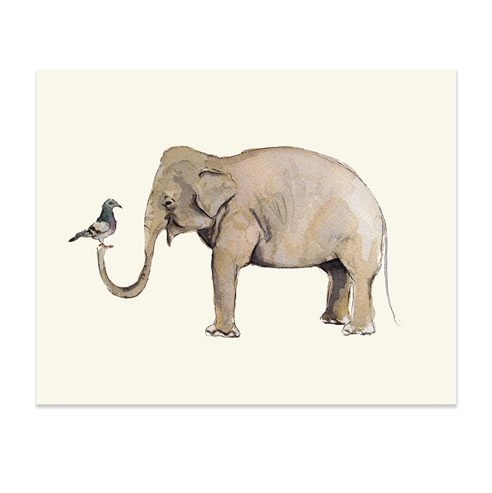 Elephant Pigeon Love by Gloria Ho - 8x10 Print