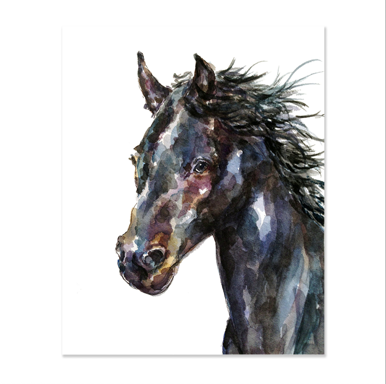 Horse by Gloria Ho - 8x10 Print