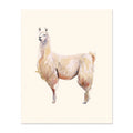 Llama by Gloria Ho - 8x10 Print
