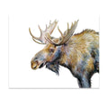 Moose by Gloria Ho - 8x10 Print