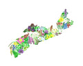 Nova Scotia Wild Flowers by Sarah Duggan - 8x10 Print