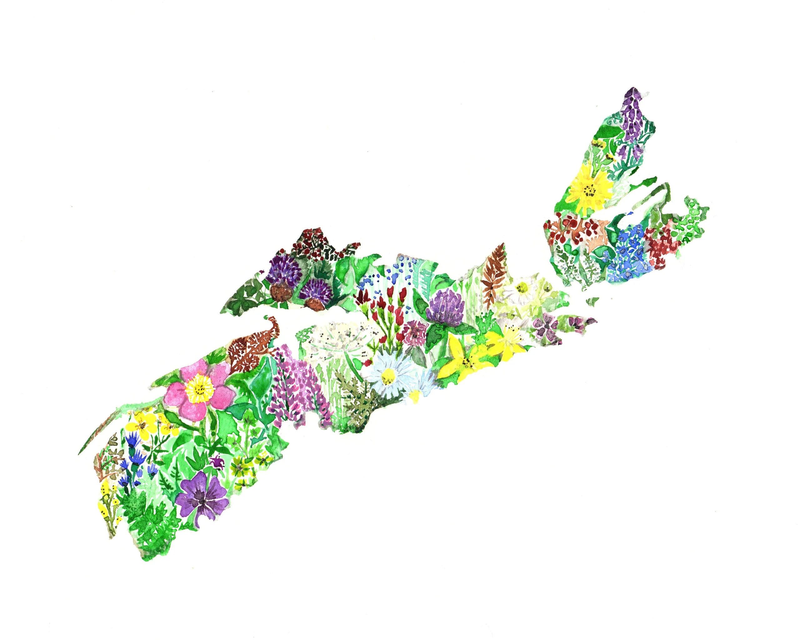 Nova Scotia Wild Flowers by Sarah Duggan - 8x10 Print