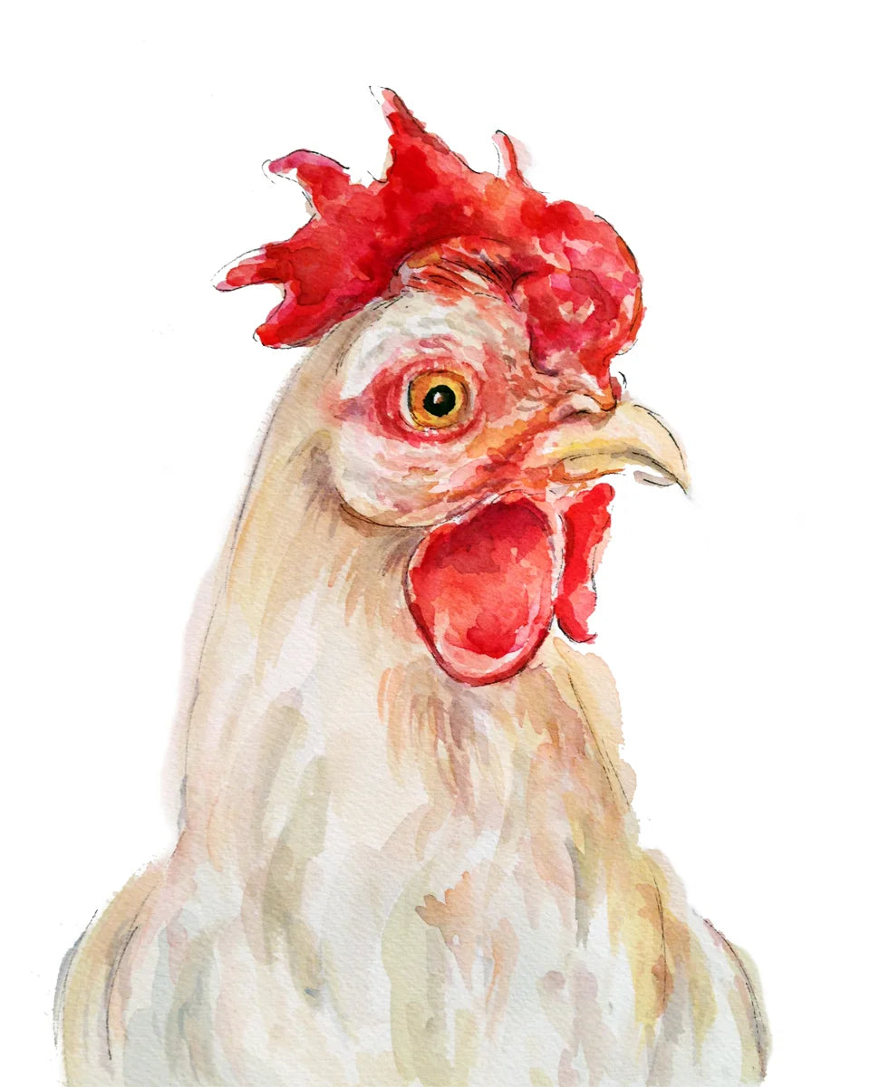 White Hen by Gloria Ho - 5x7 Print