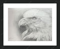 Framed print with mat & glazing