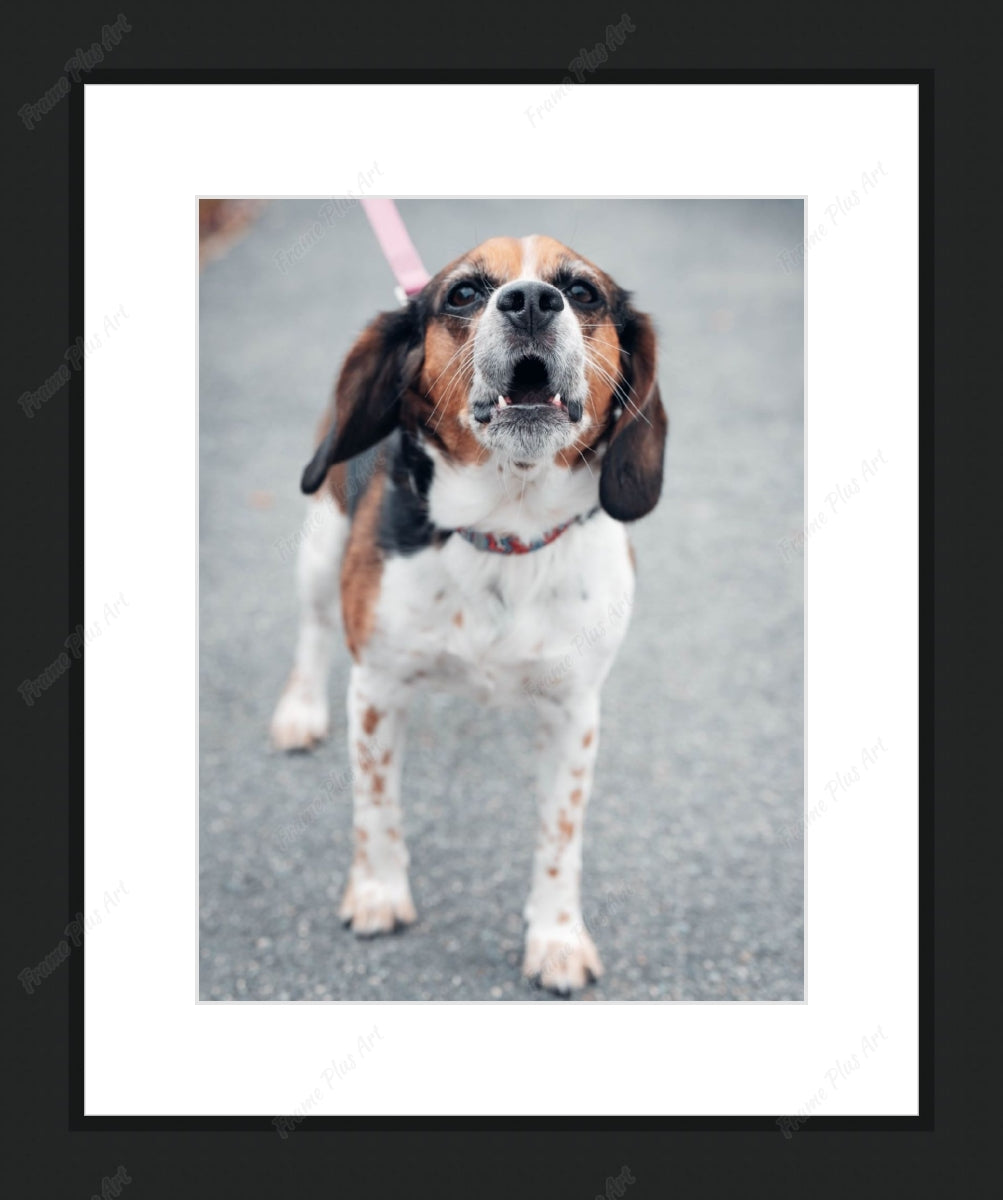 Framed print with mat & glazing
