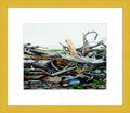 Flotsum and Jetsum, Advocate Harbour $30.00 (8 x 10 inches in si