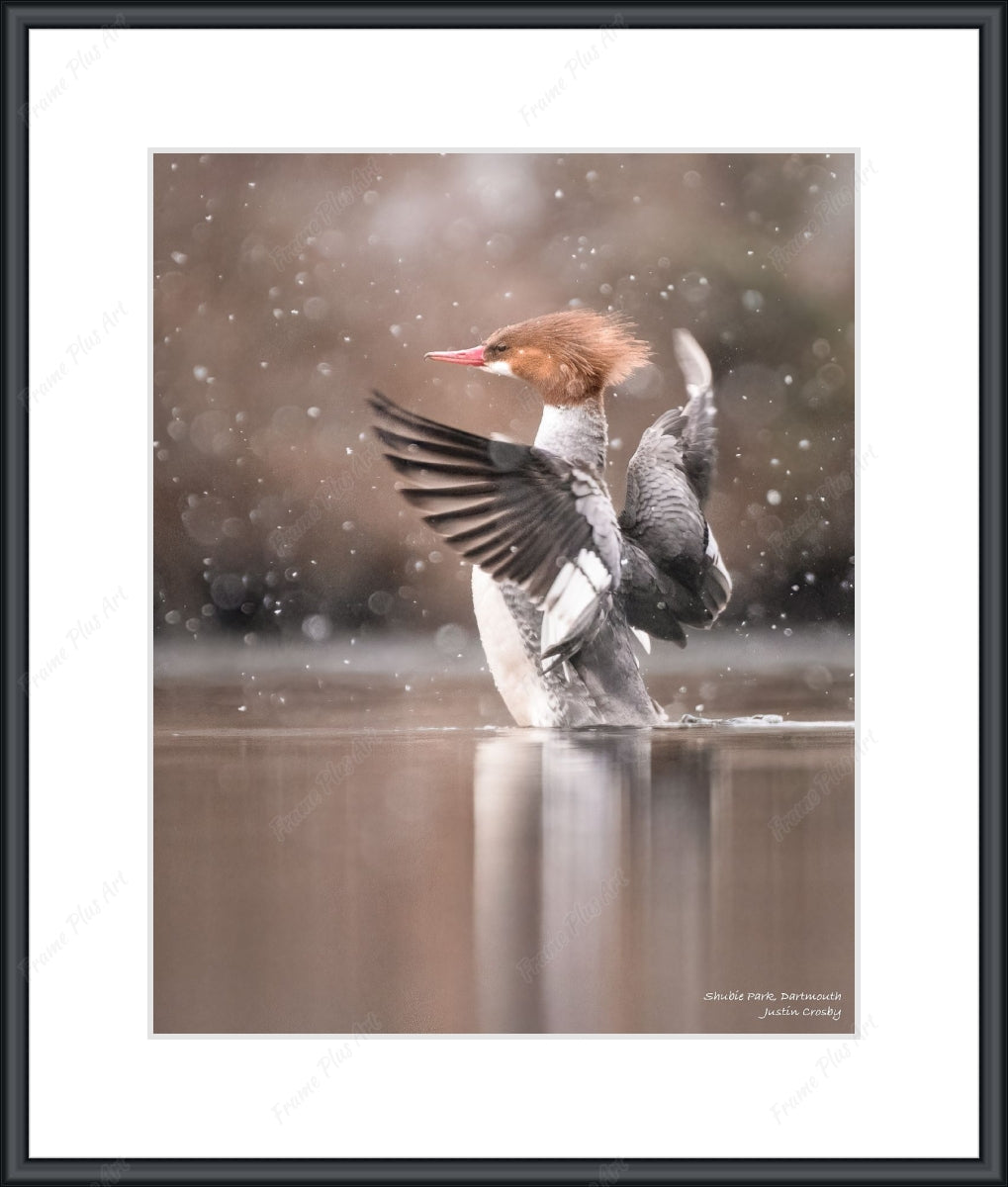 Framed print with mat & glazing