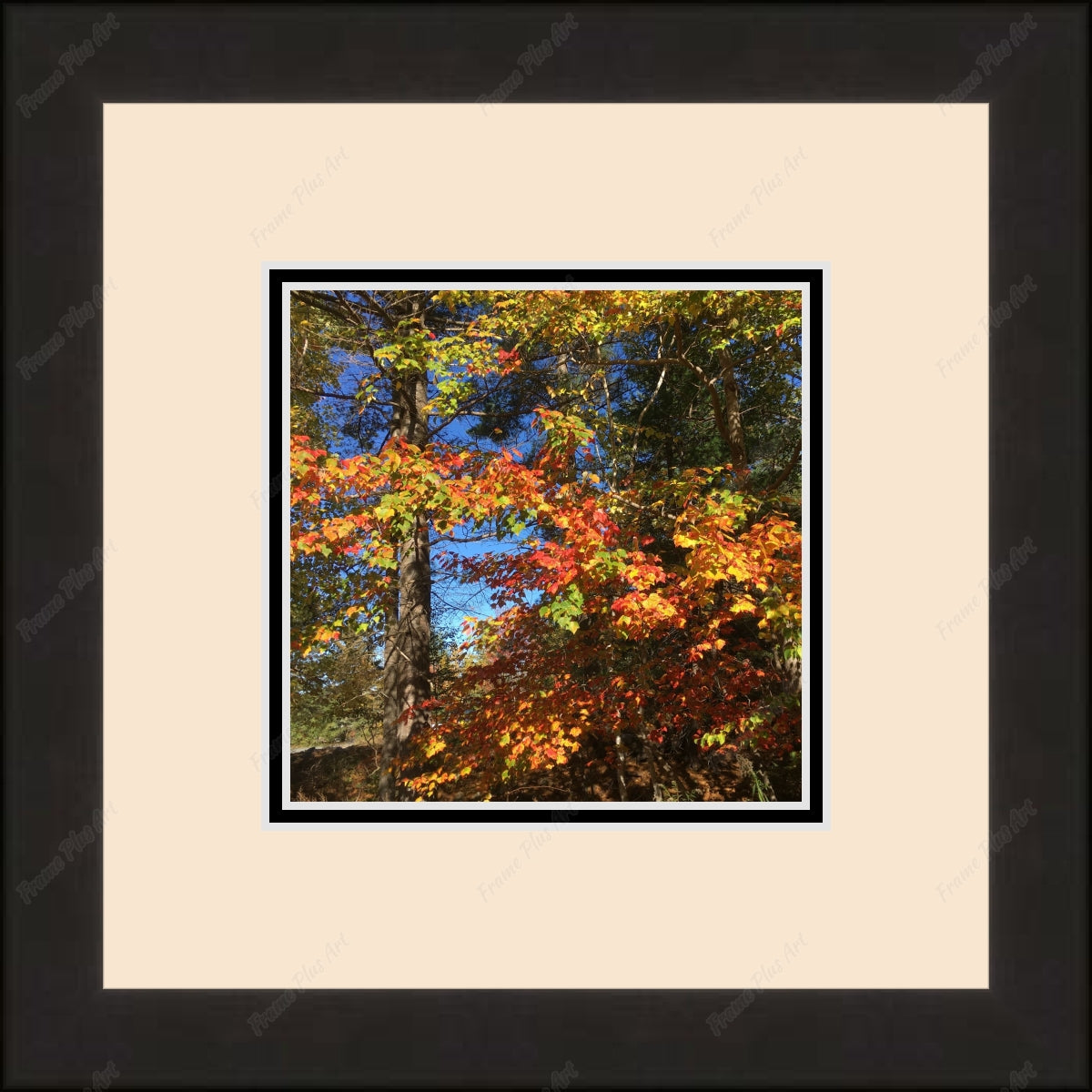 Framed print with mat & glazing