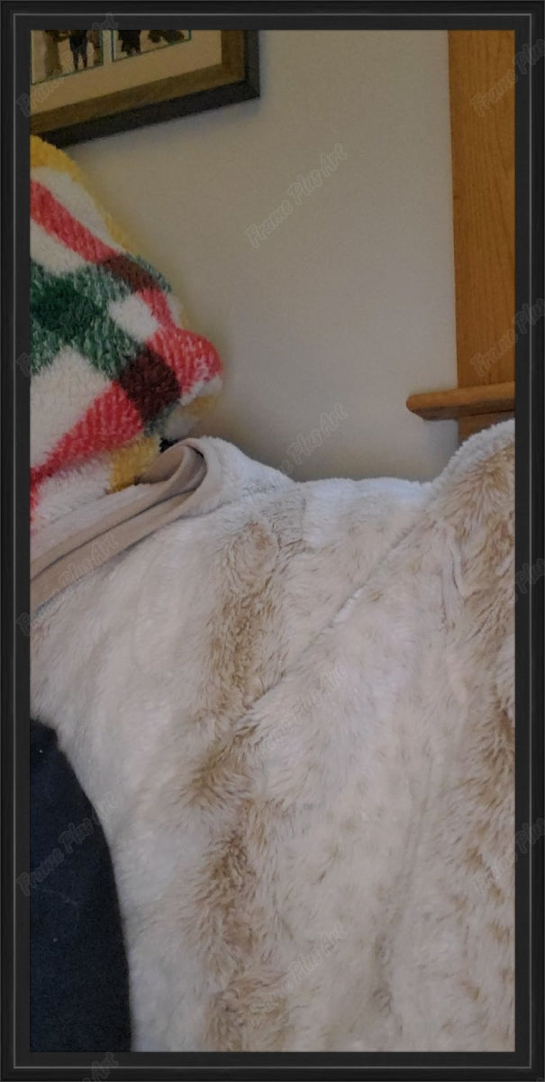 Framed print without mat & glazing