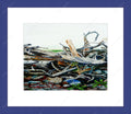 Flotsum and Jetsum, Advocate Harbour $30.00 (8 x 10 inches in si