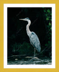 Framed print with mat & glazing