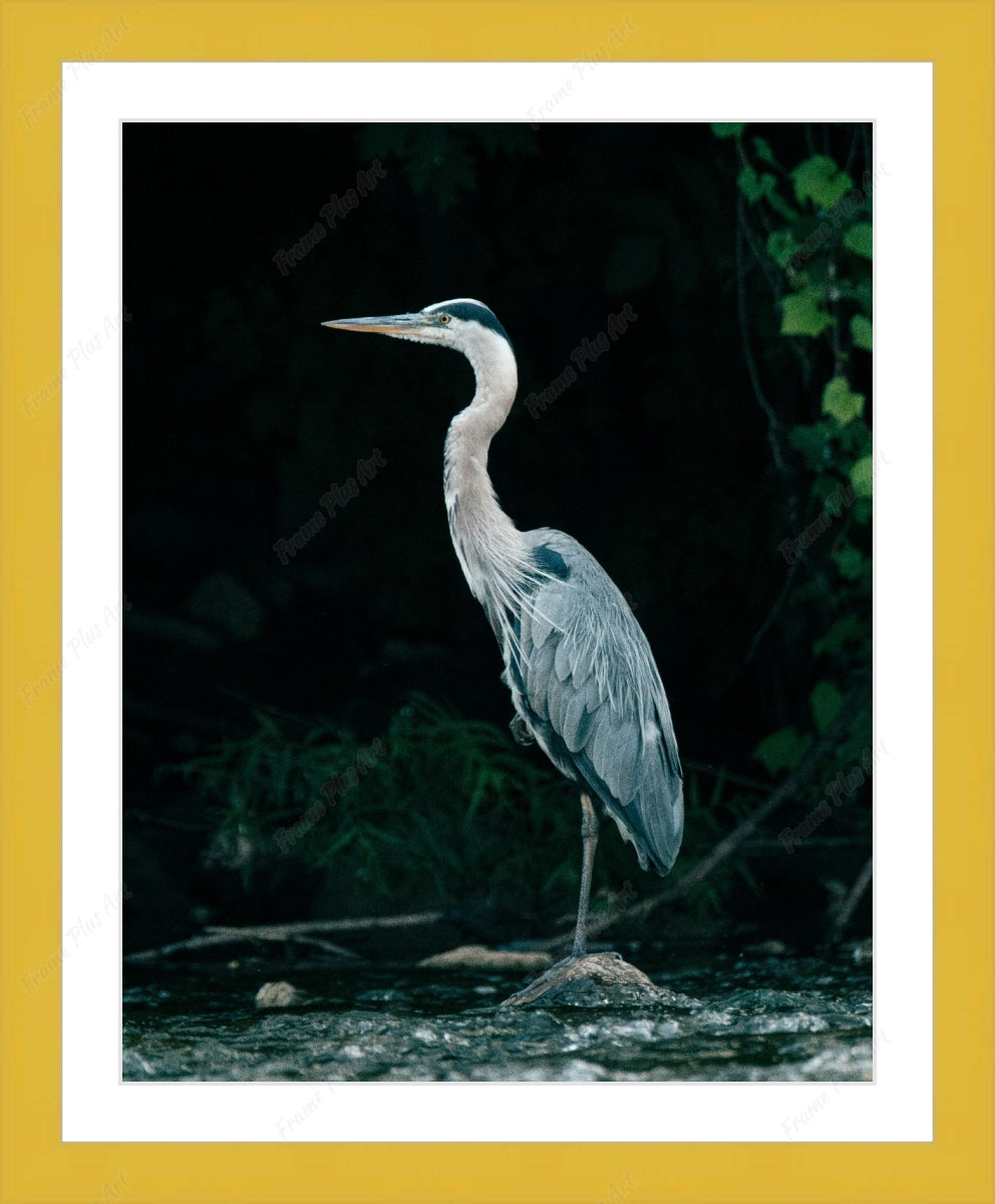 Framed print with mat & glazing