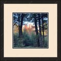 Framed print with mat & glazing