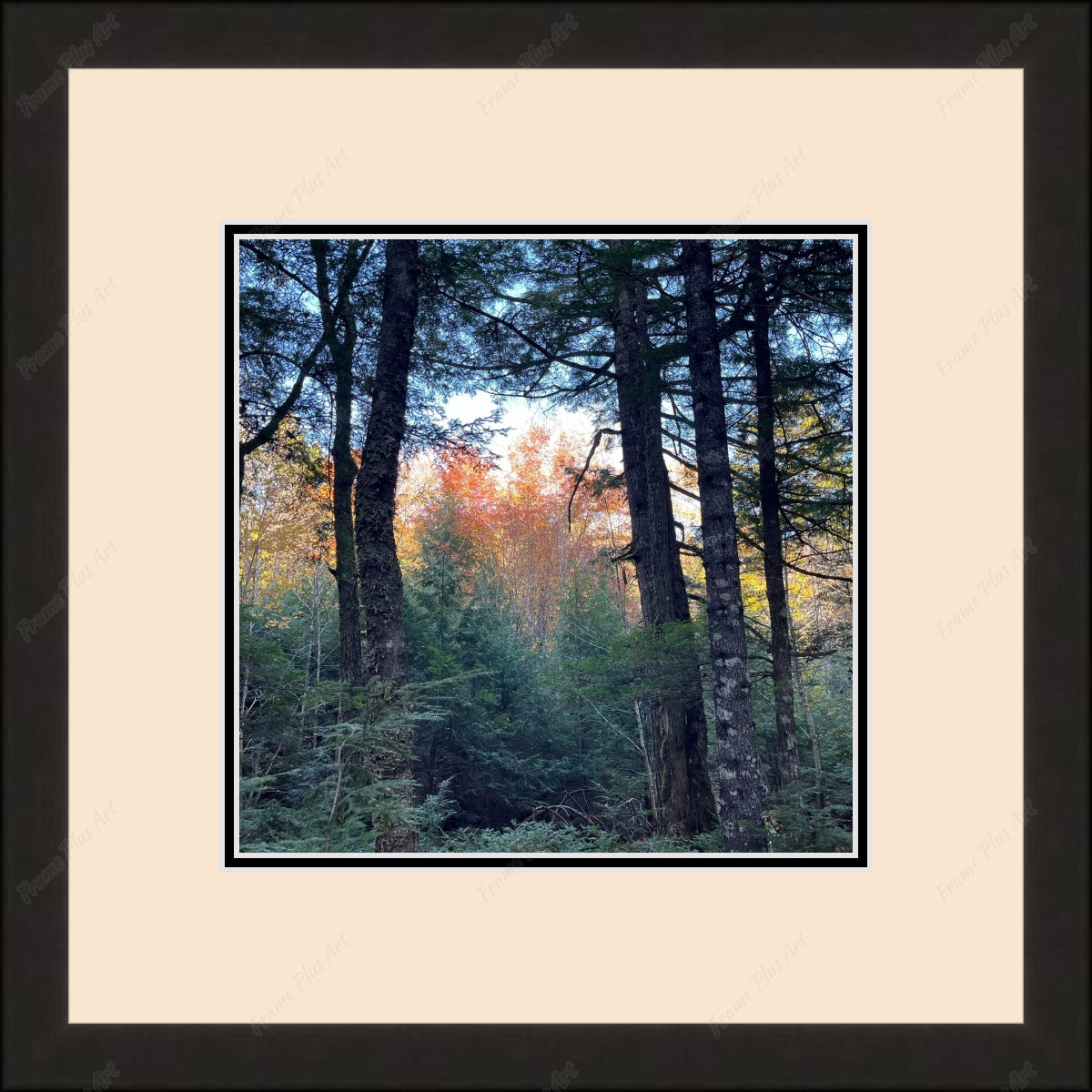 Framed print with mat & glazing