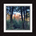 Framed print with mat & glazing