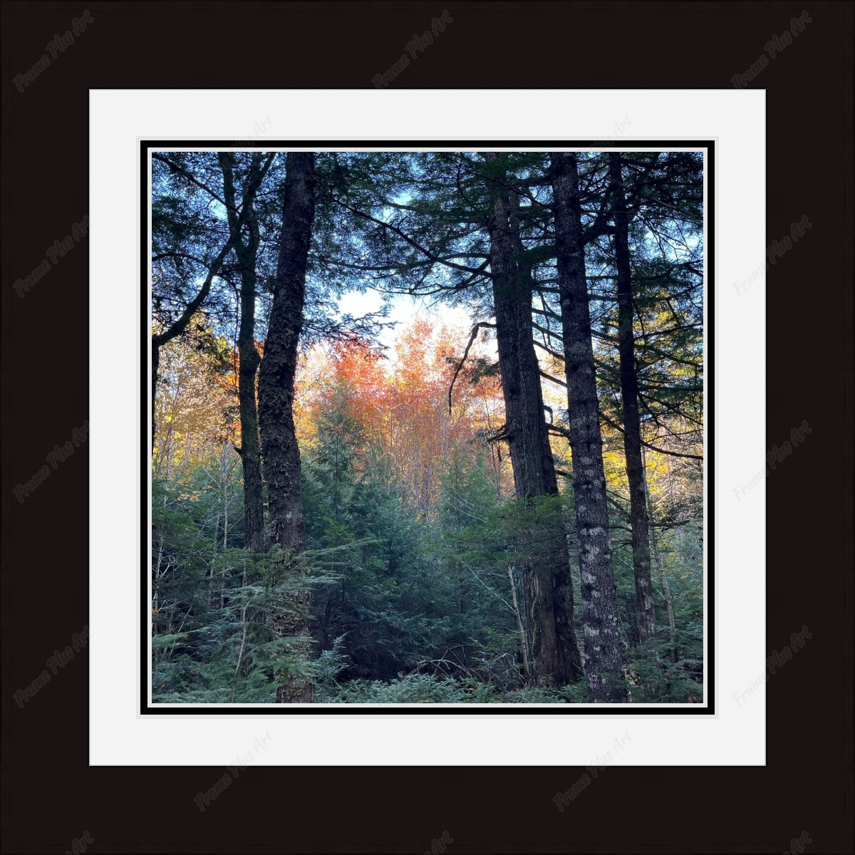 Framed print with mat & glazing