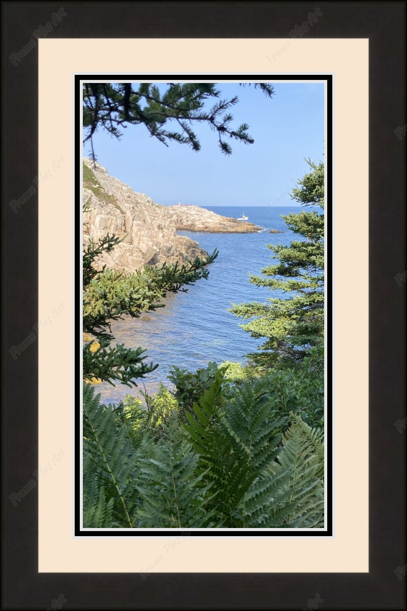 Framed print with mat & glazing
