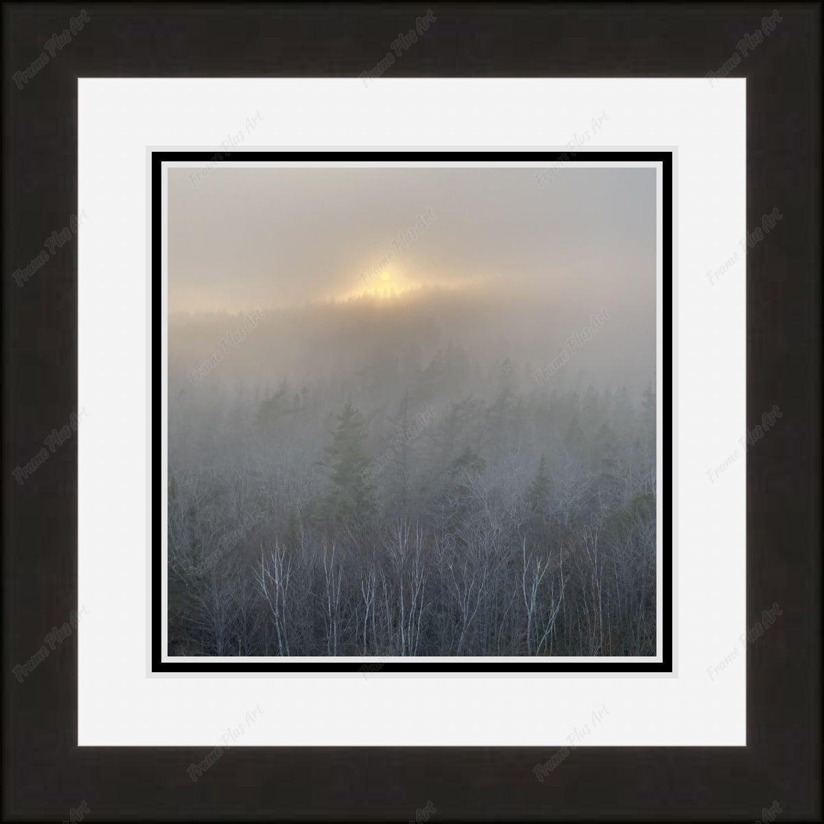 Framed print with mat & glazing