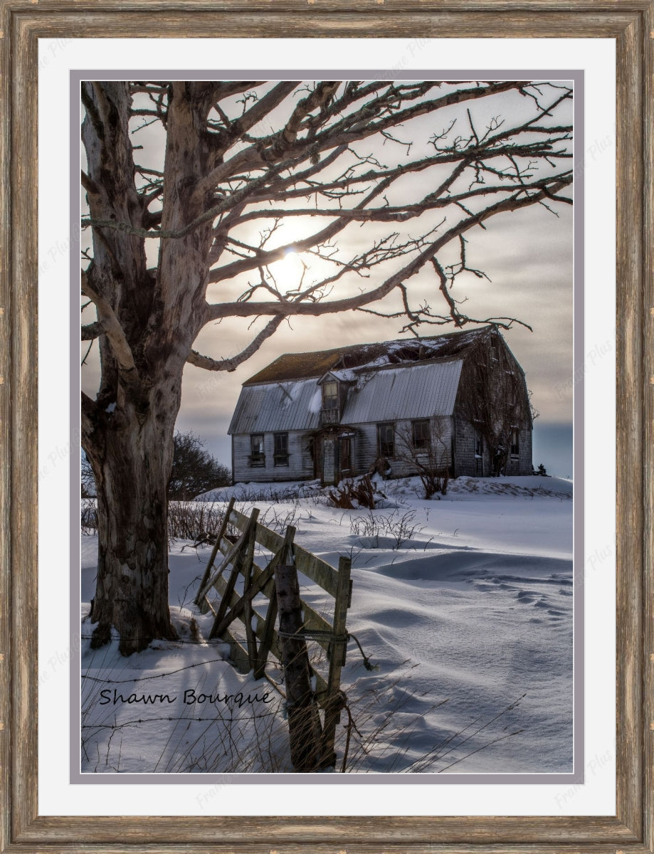 Framed print with mat & glazing