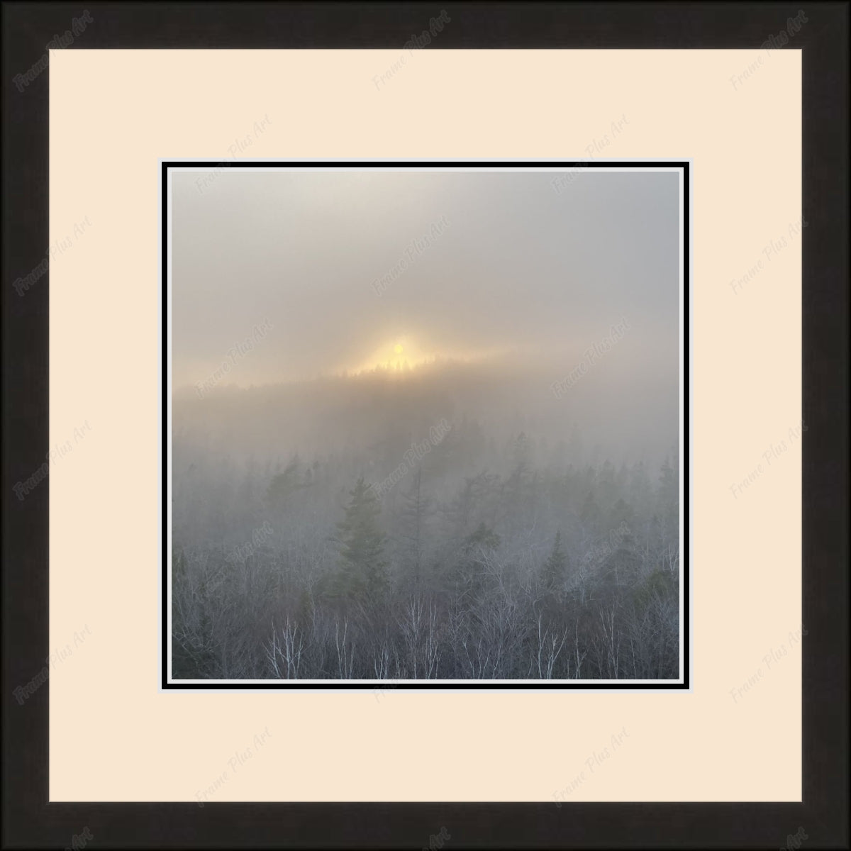 Framed print with mat & glazing