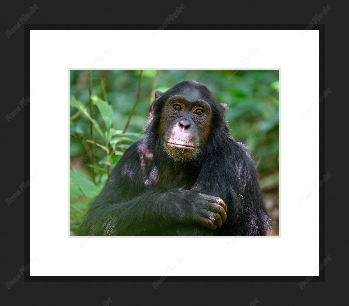 Framed print with mat & glazing