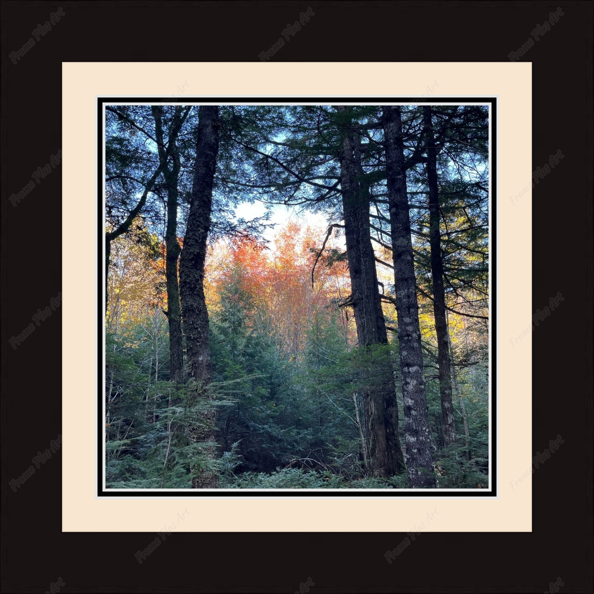 Framed print with mat & glazing