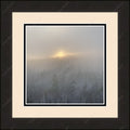 Framed print with mat & glazing