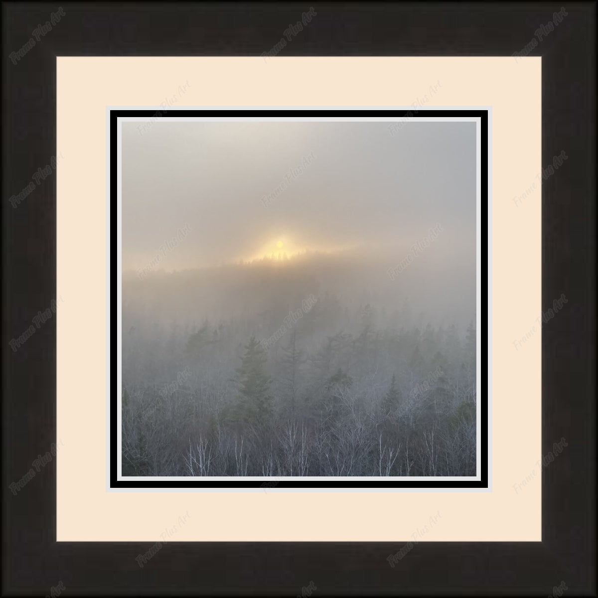 Framed print with mat & glazing