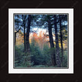 Framed print with mat & glazing