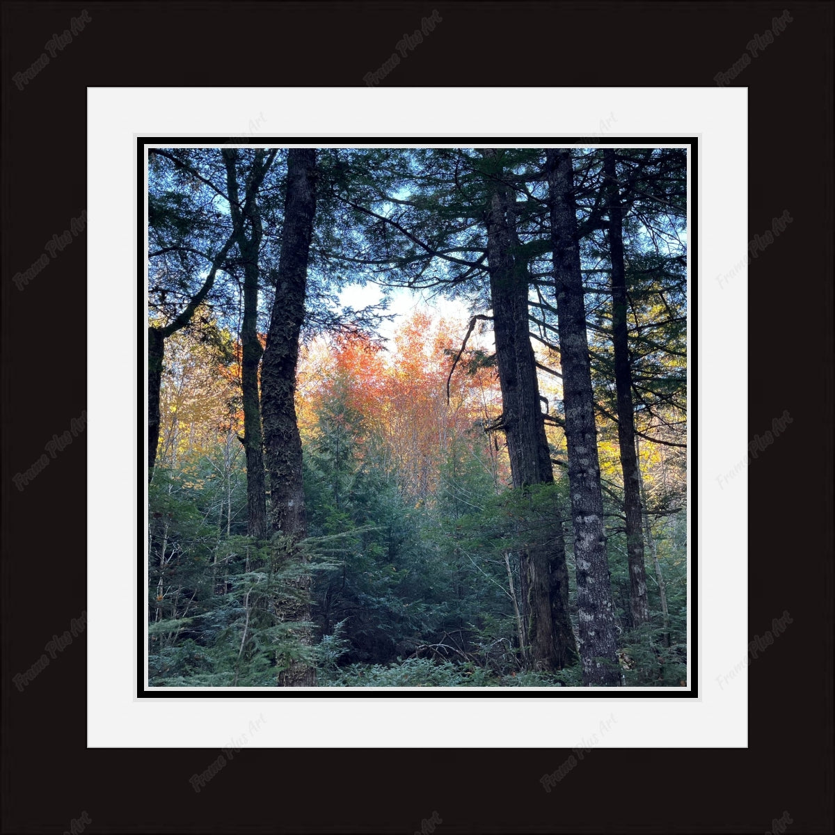 Framed print with mat & glazing