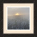 Framed print with mat & glazing