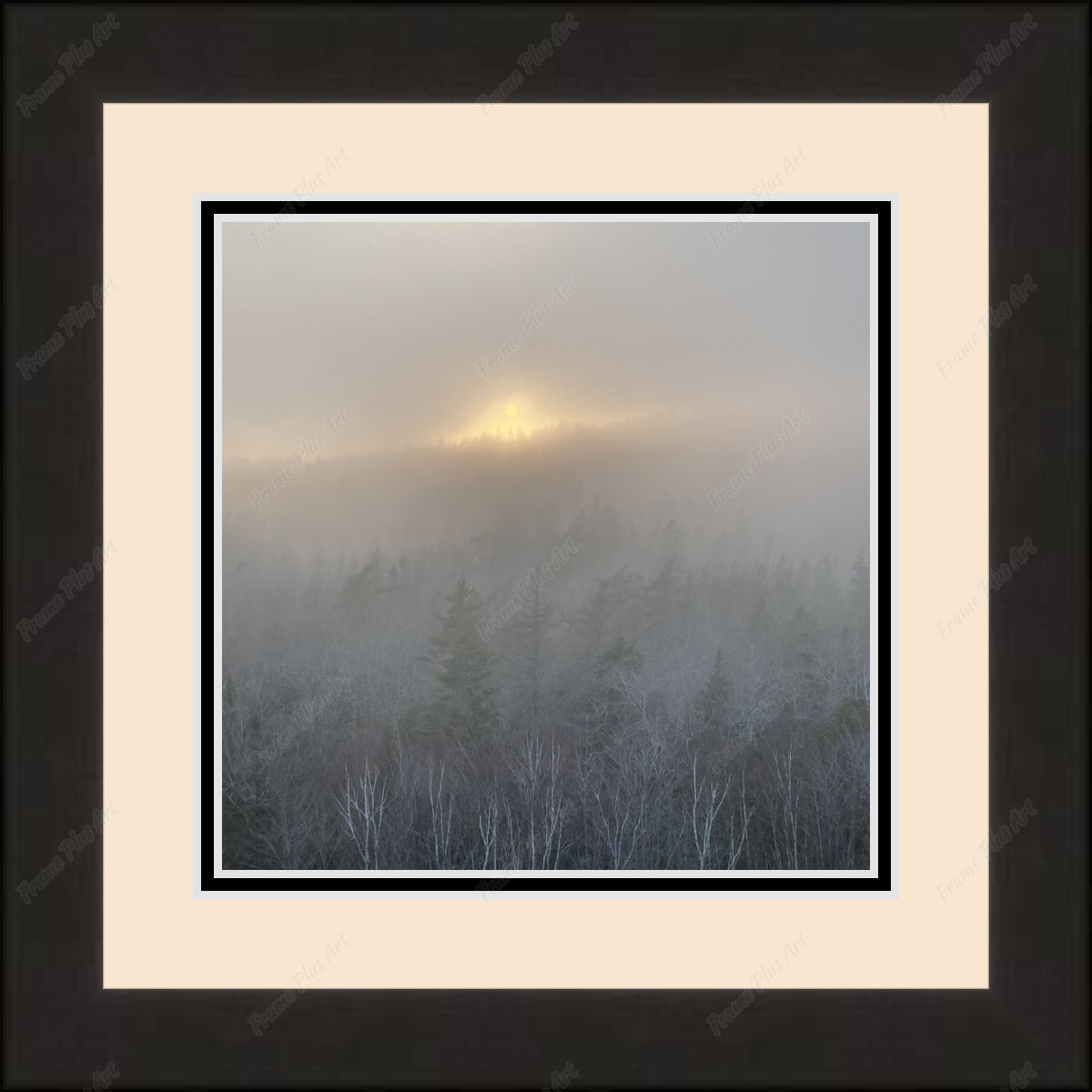 Framed print with mat & glazing