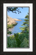 Framed print with mat & glazing