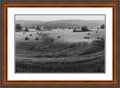 Framed print with mat & glazing