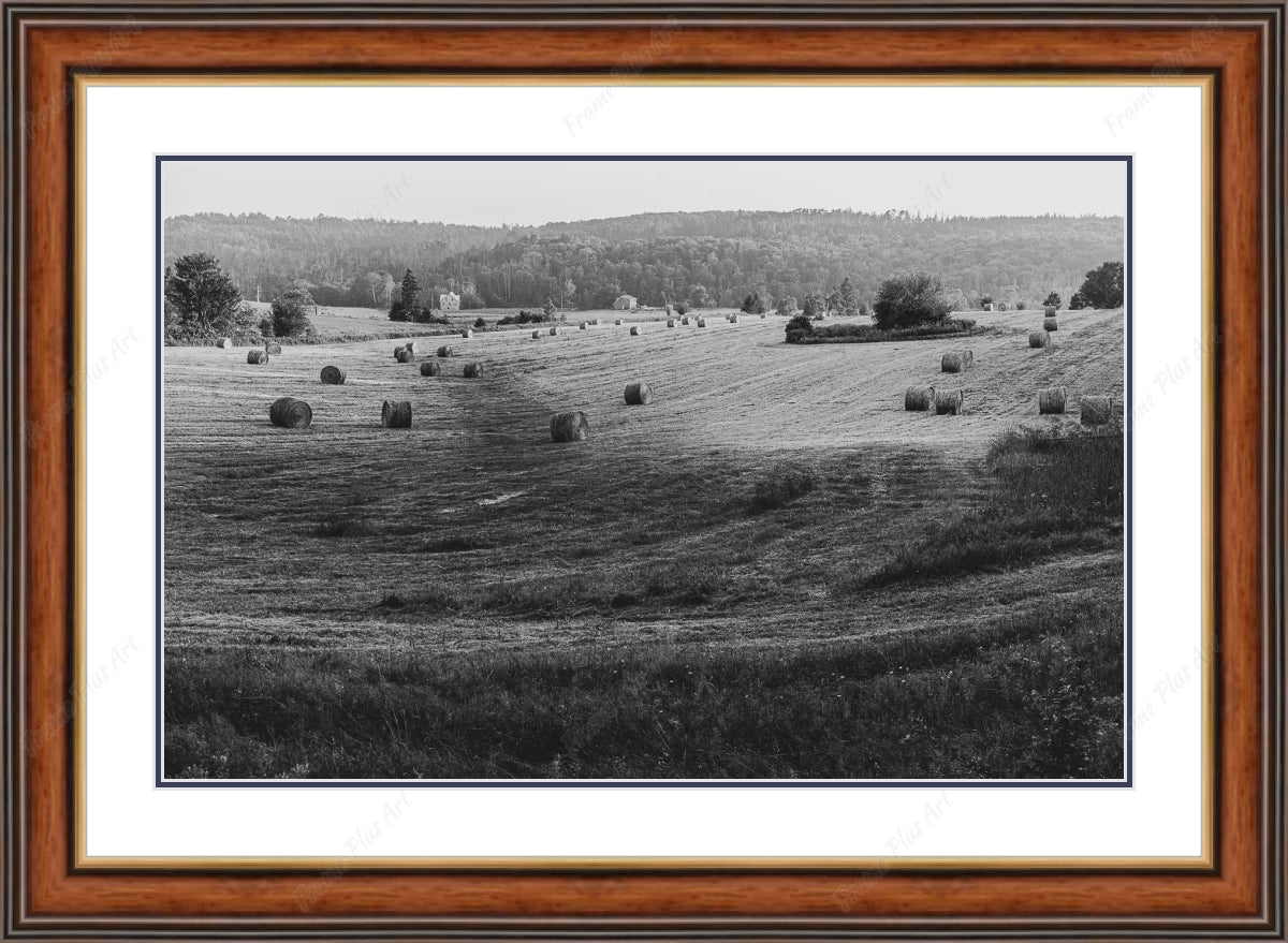 Framed print with mat & glazing