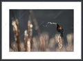 Framed print with mat & glazing