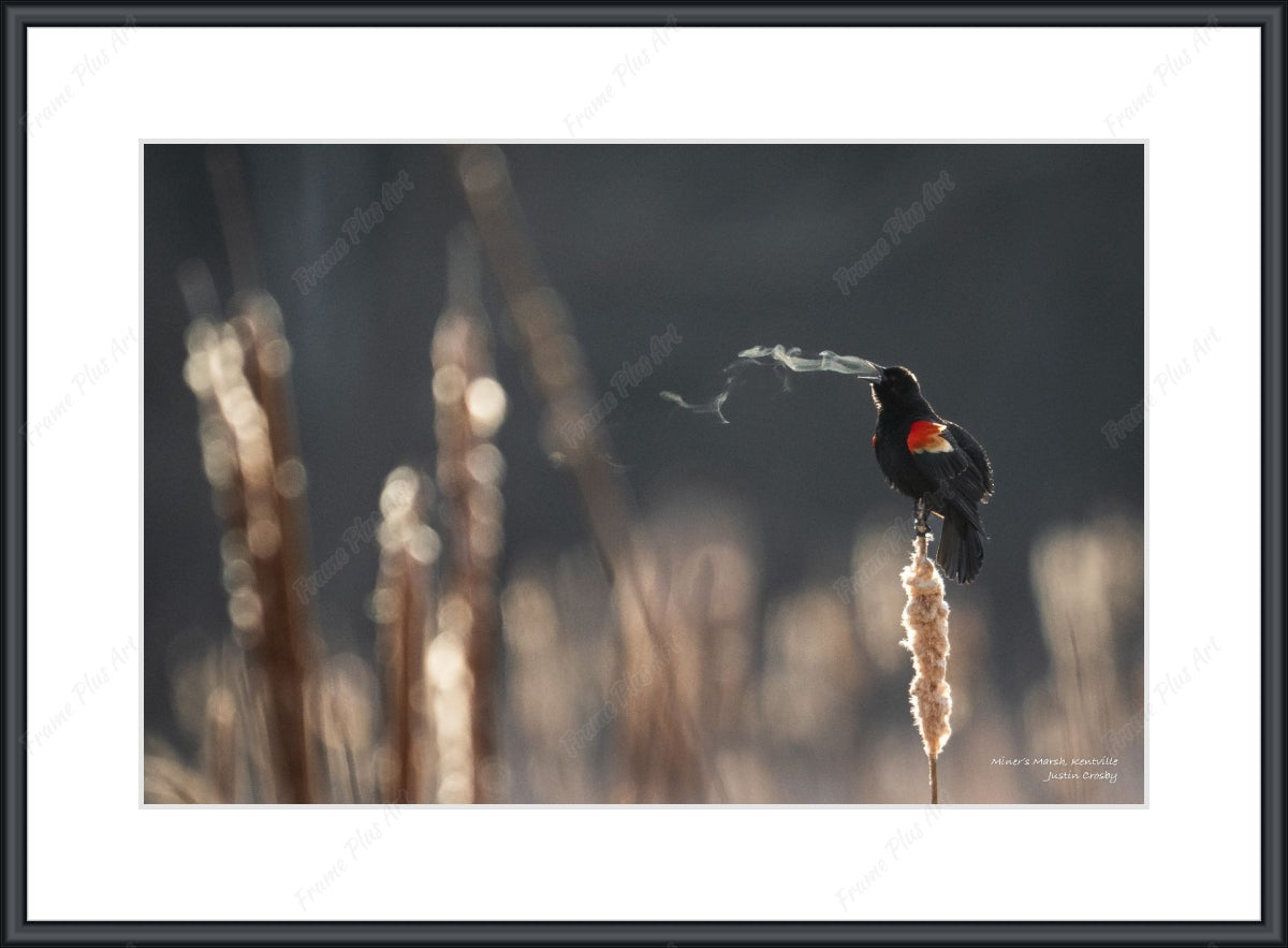 Framed print with mat & glazing
