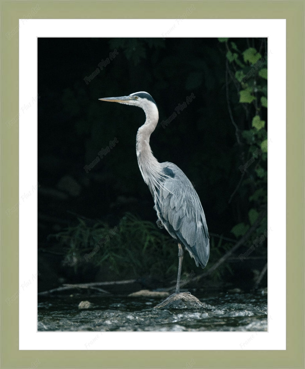 Framed print with mat & glazing