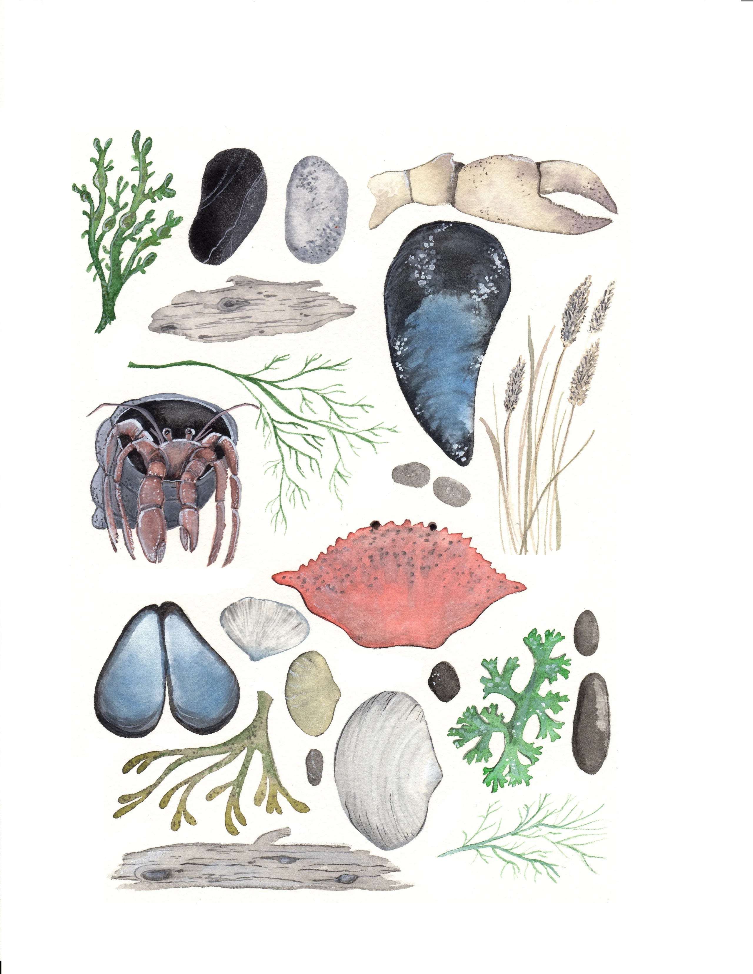 Ode to Ocean by Sarah Duggan - 8x10 Print