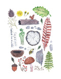 Ode to Woods by Sarah Duggan - 8x10 Print