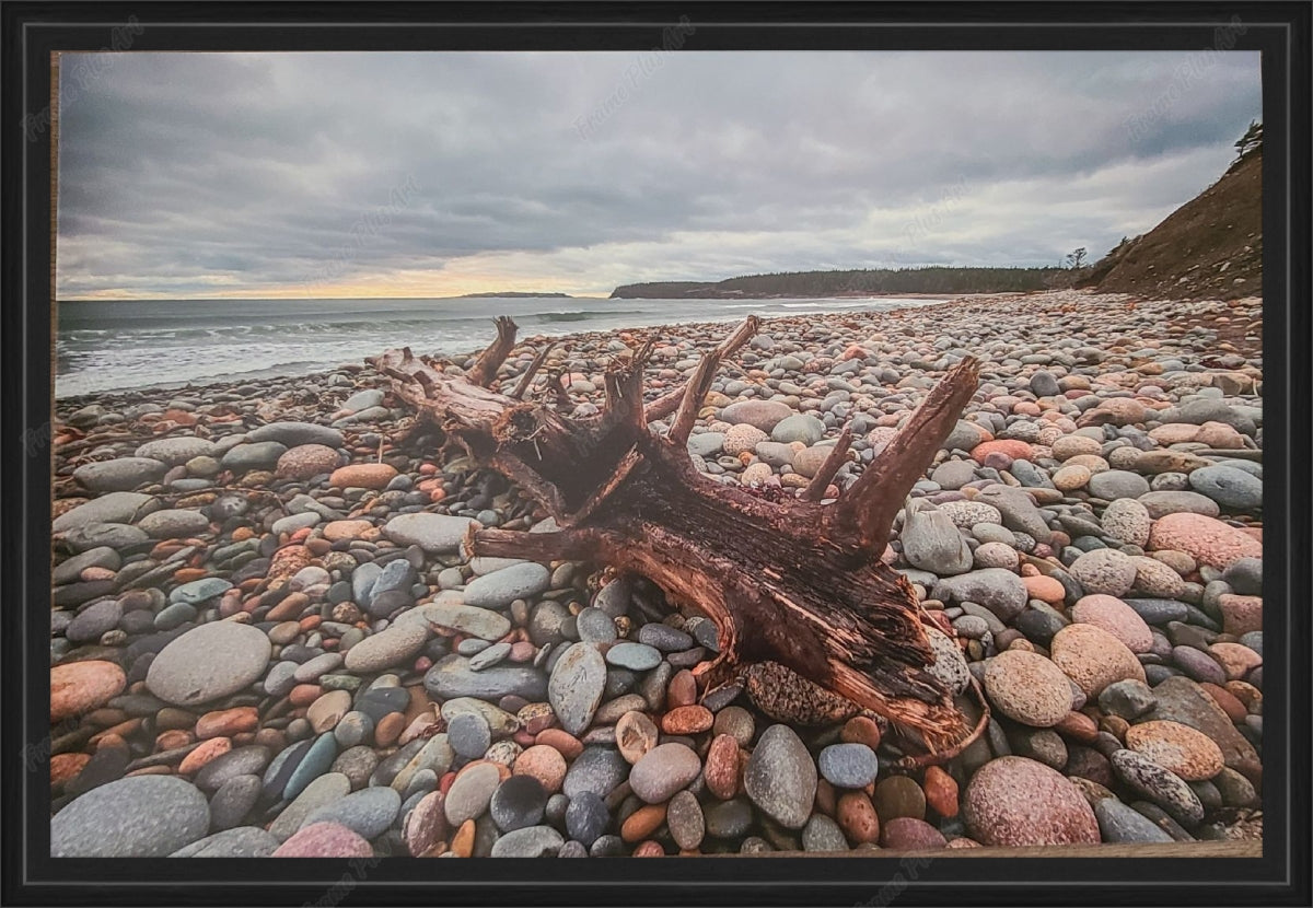 Framed print without mat & glazing