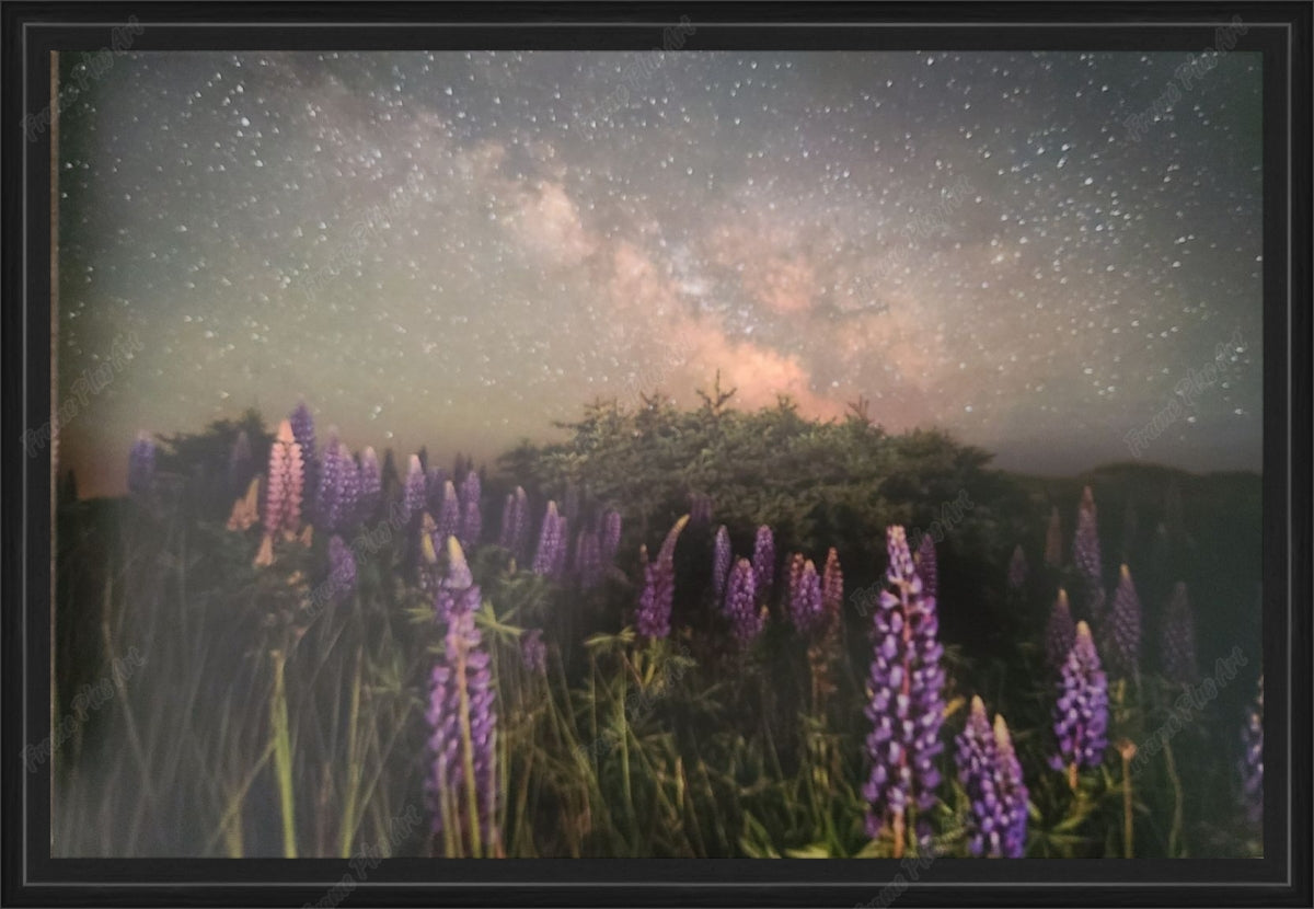 Framed print without mat & glazing