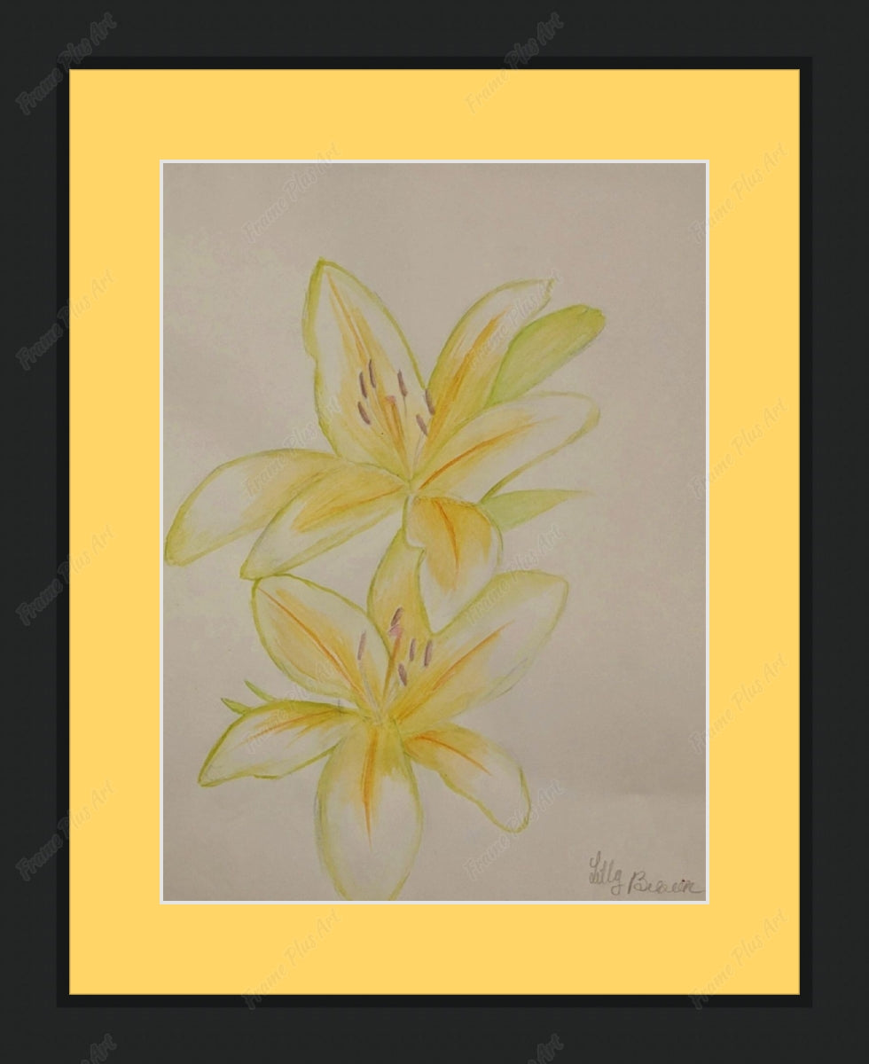 Framed print with mat & glazing