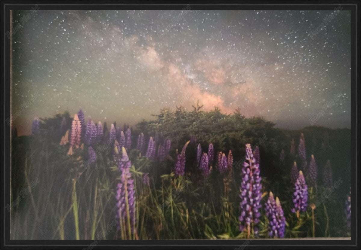 Framed print without mat & glazing