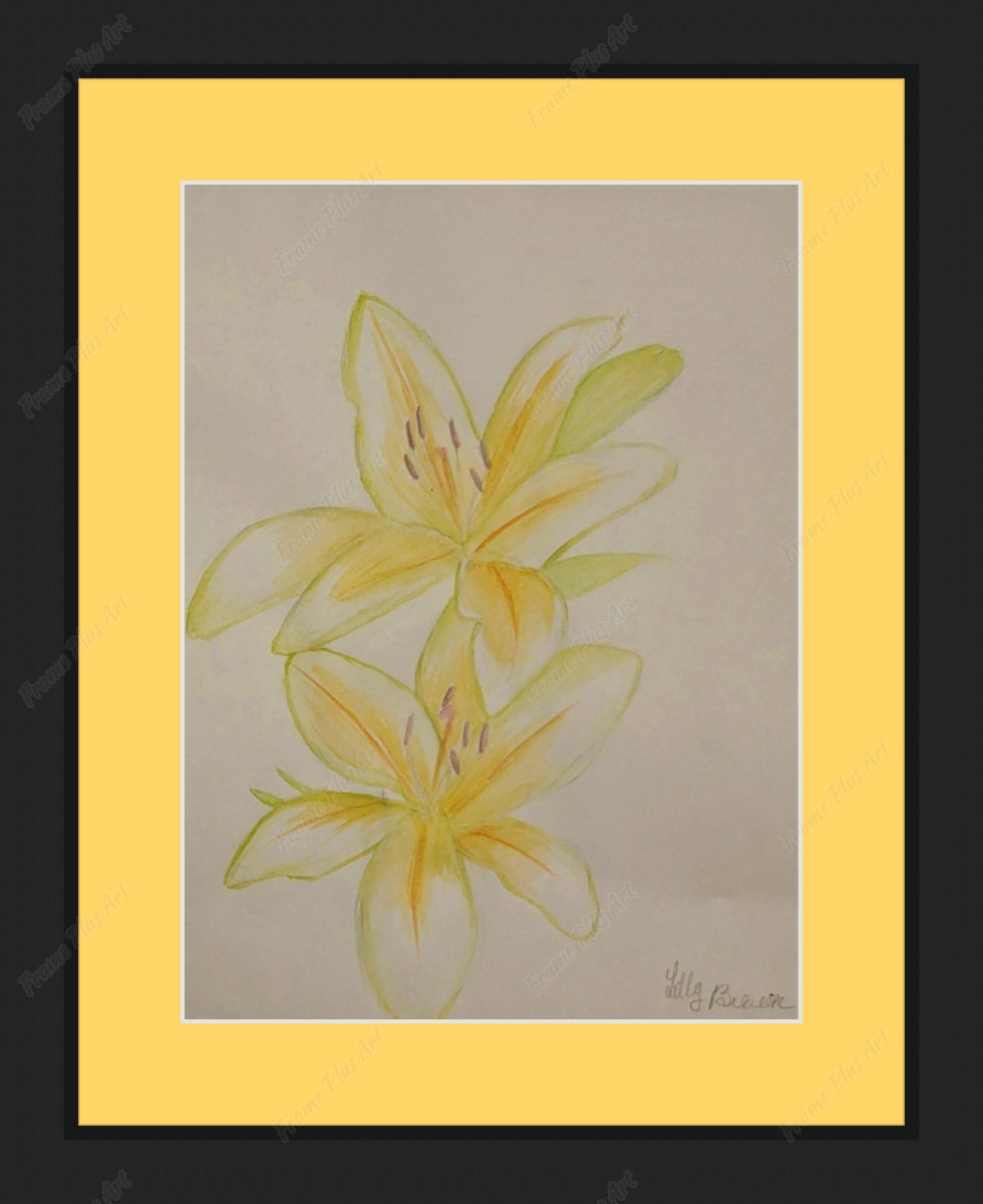 Framed print with mat & glazing